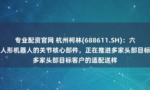 专业配资官网 杭州柯林(688611.SH)：六维力传感器属于人形机器人的关节核心部件，正在推进多家头部目标客户的适配送样