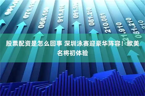 股票配资是怎么回事 深圳泳赛迎豪华阵容！欧美名将初体验